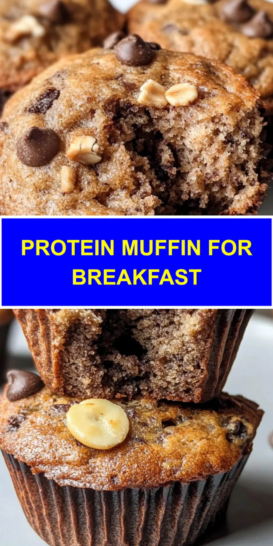 How to Make the Perfect Protein Muffin for Breakfast 3 Protein muffin for breakfast centered hero view, clean and uncluttered